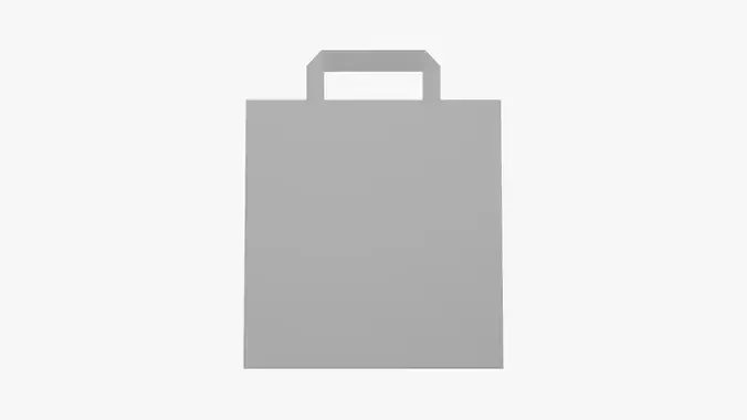 Basic Shopping Bag - Geometry Only No Textures No Materials