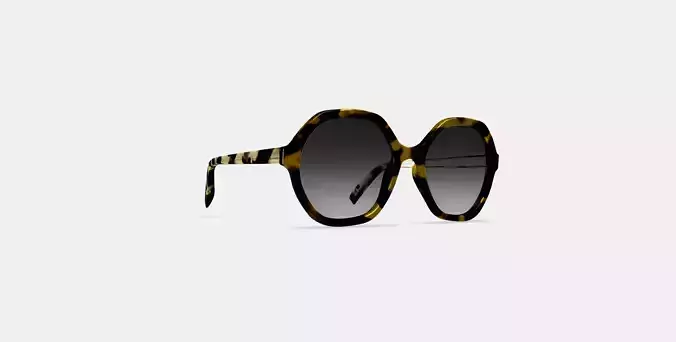Rachel Sunglasses in Mesquite Tortoise 3D model