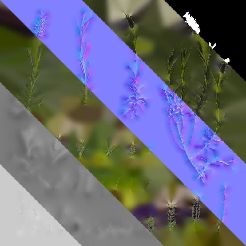 Anydrafts Lavandula stoechas Atlas 01 Texture_8