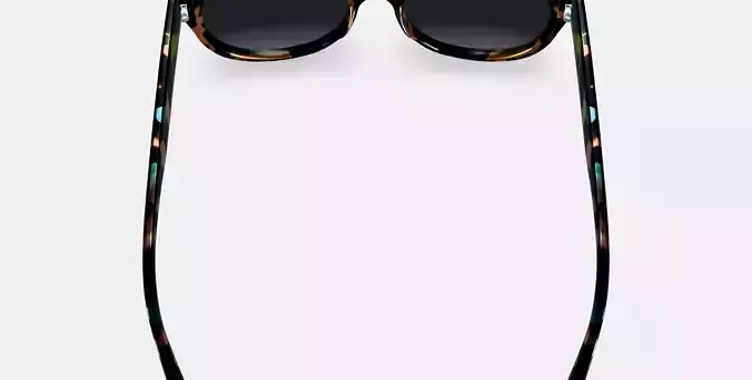 Annika Sunglasses in Aventurine Tortoise
