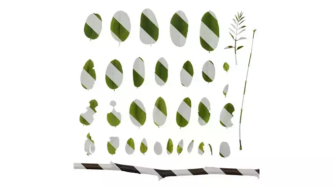 Anydrafts Robinia pseudoacacia purple robe Leaf 01 Texture