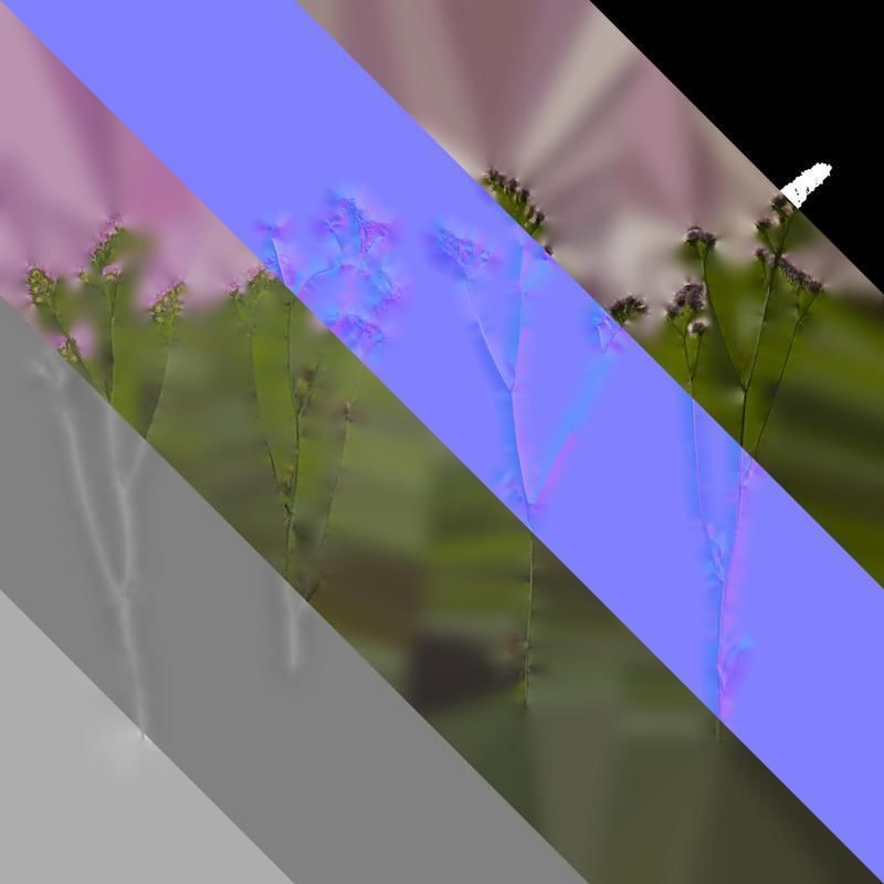 Anydrafts Limonium sinense Atlas 05 Texture_8