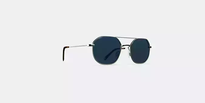 Renaldo Sunglasses in Antique Silver