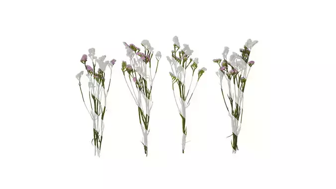 Anydrafts Limonium sinense Atlas 06 Texture