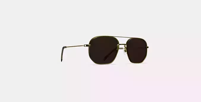 Aram Sunglasses in Polished Gold 3D model