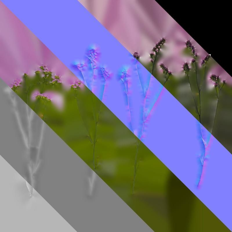 Anydrafts Limonium sinense Atlas 07 Texture_8