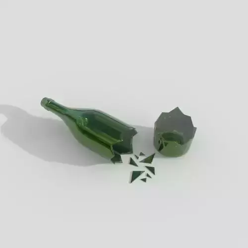 broken wine bottle