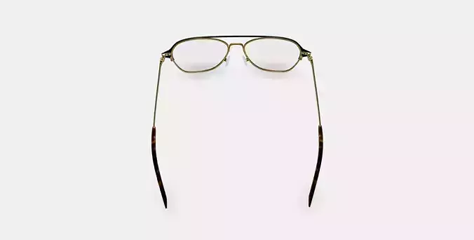 Corson Eyeglasses in Jet Black with Polished Gold 3D model