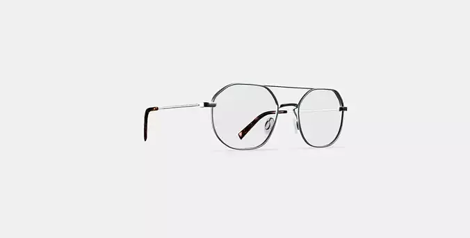 Renaldo Eyeglasses in Antique Silver 3D model