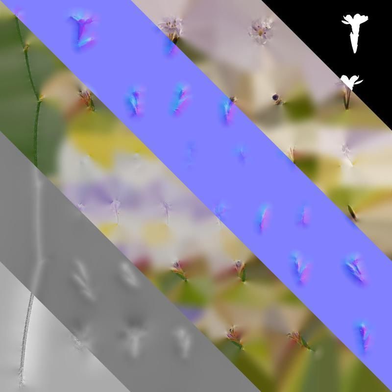 Anydrafts Limonium sinense Flower 05 Texture_8