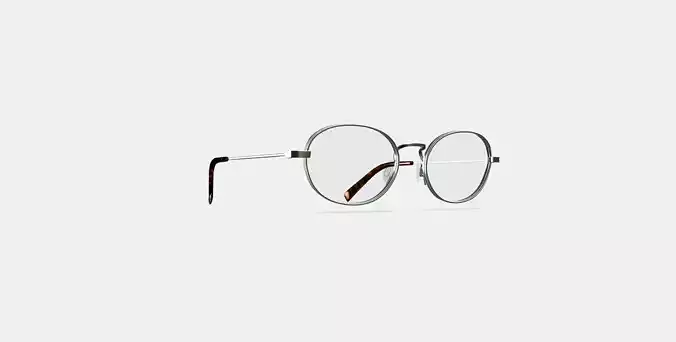 Albie Eyeglasses in Polished Silver 3D model