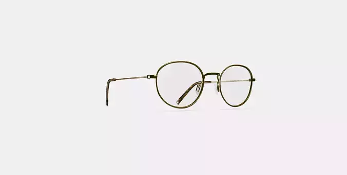 Rafael Eyeglasses in Polished Gold 3D model