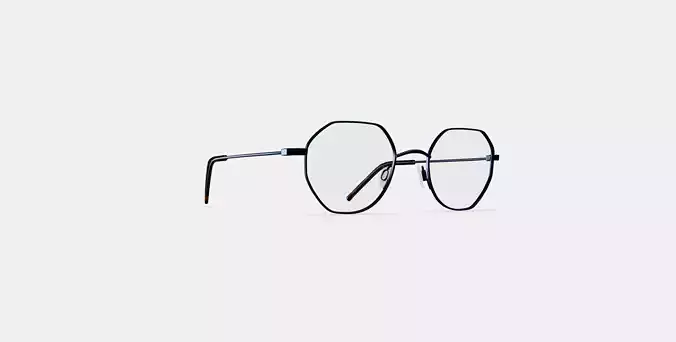 Dupree Eyeglasses in Brushed Ink 3D model
