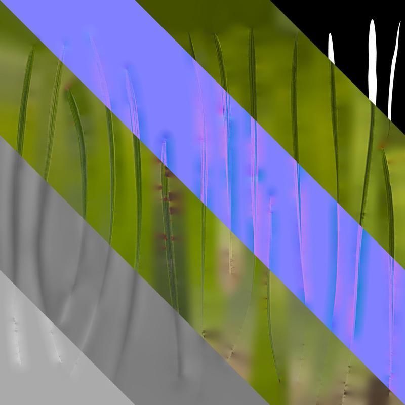 Anydrafts Liriope muscari variegata Leaf 03 Texture_8