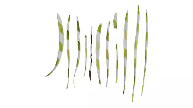 Anydrafts Liriope muscari variegata Leaf 05 Texture