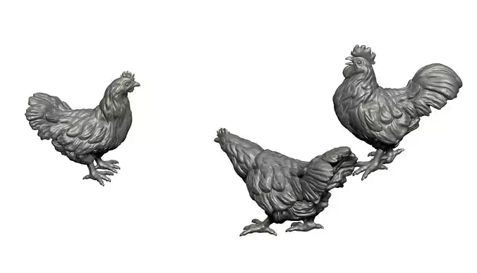 hen sculpture  3D Model Collection
