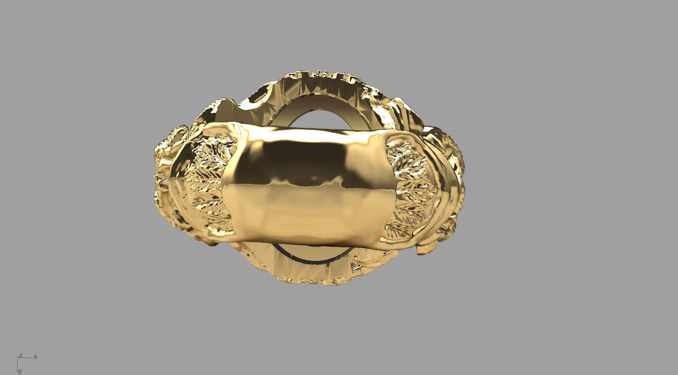 ring 000 3D print model_12