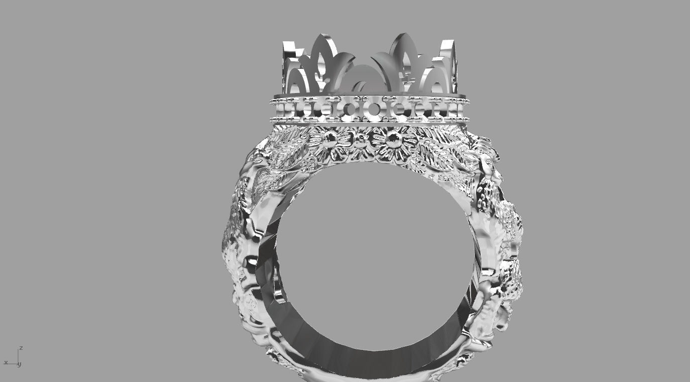 ring 000 3D print model_1