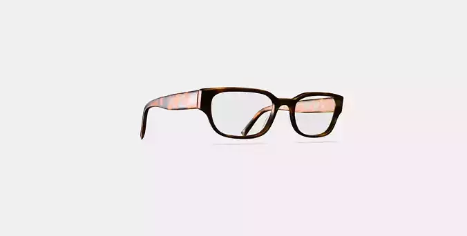 Brewster Eyeglasses in Woodgrain Tortoise 3D model