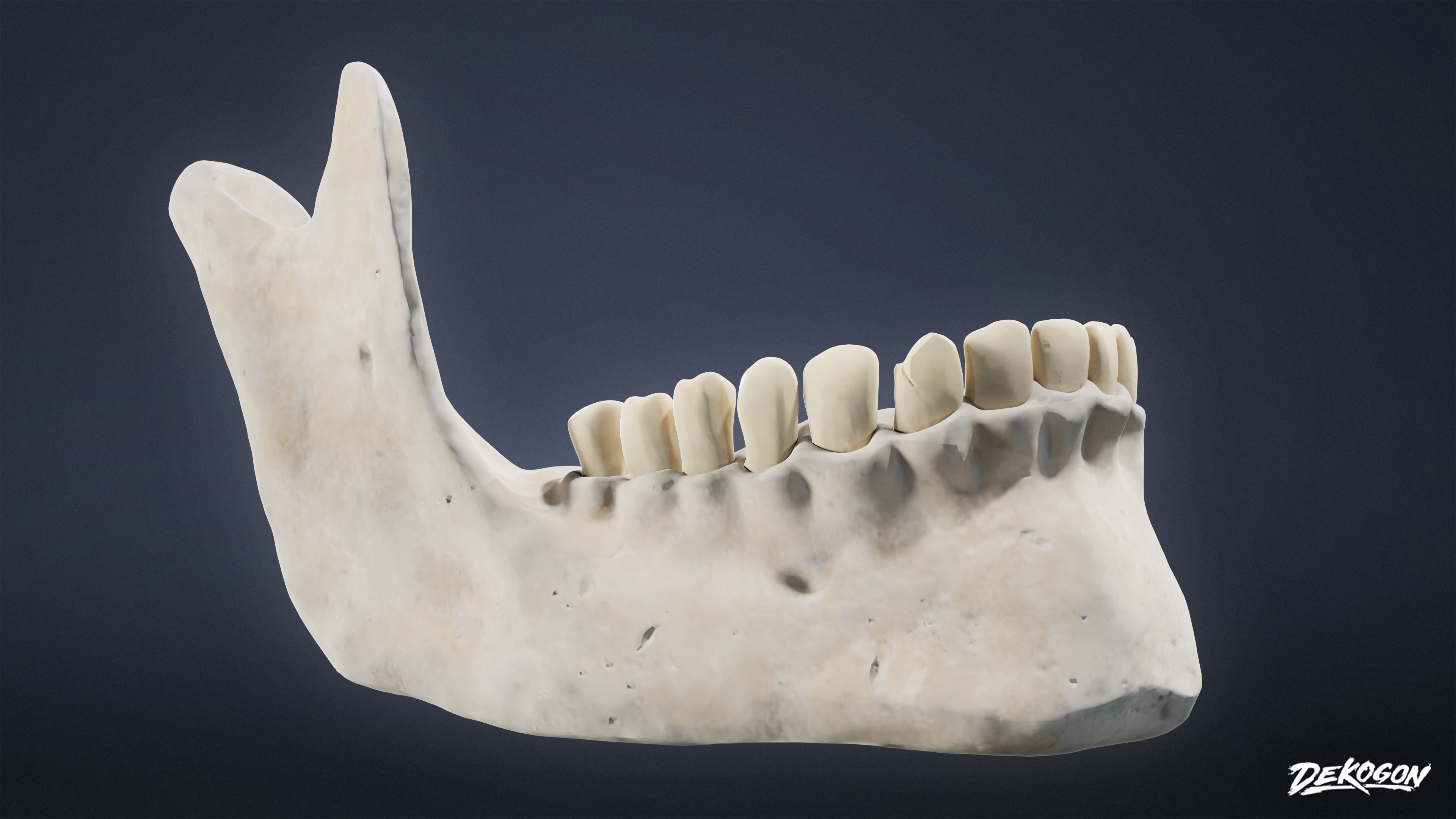 BONES - Human Skull 03 - NANITE Low-poly 3D model_4