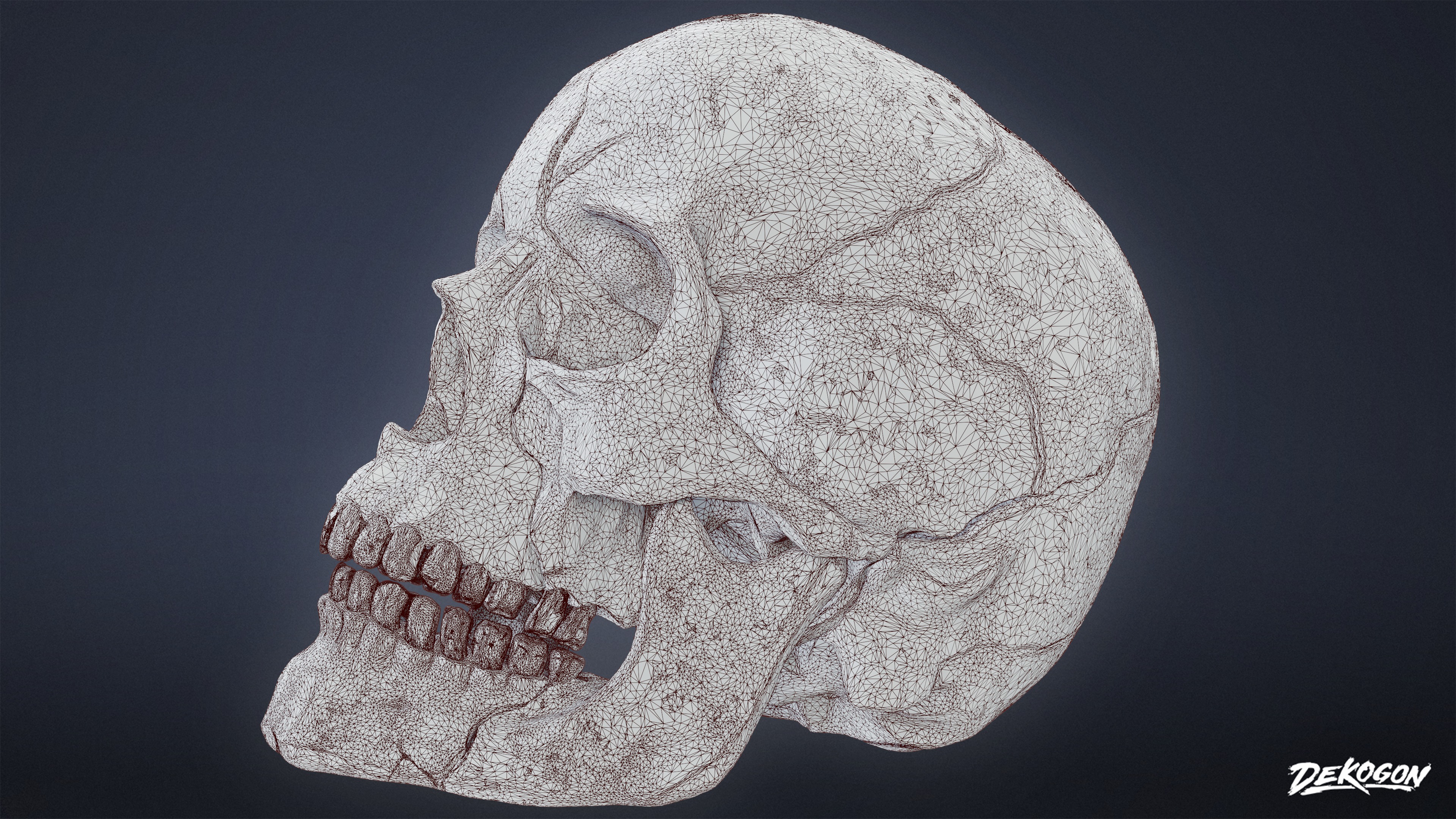 BONES - Human Skull 03 - NANITE Low-poly 3D model_7