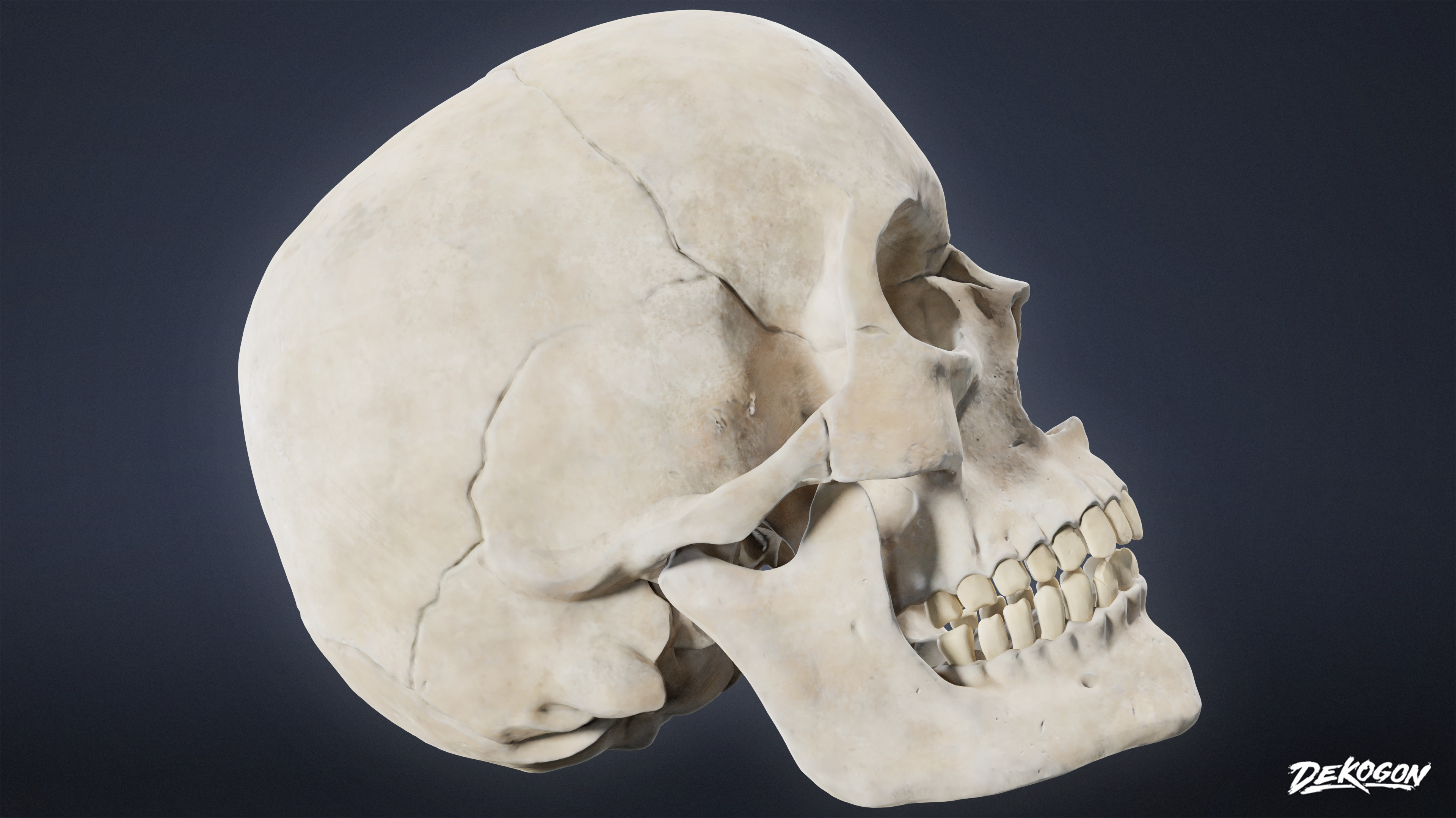 BONES - Human Skull 03 - NANITE Low-poly 3D model_2