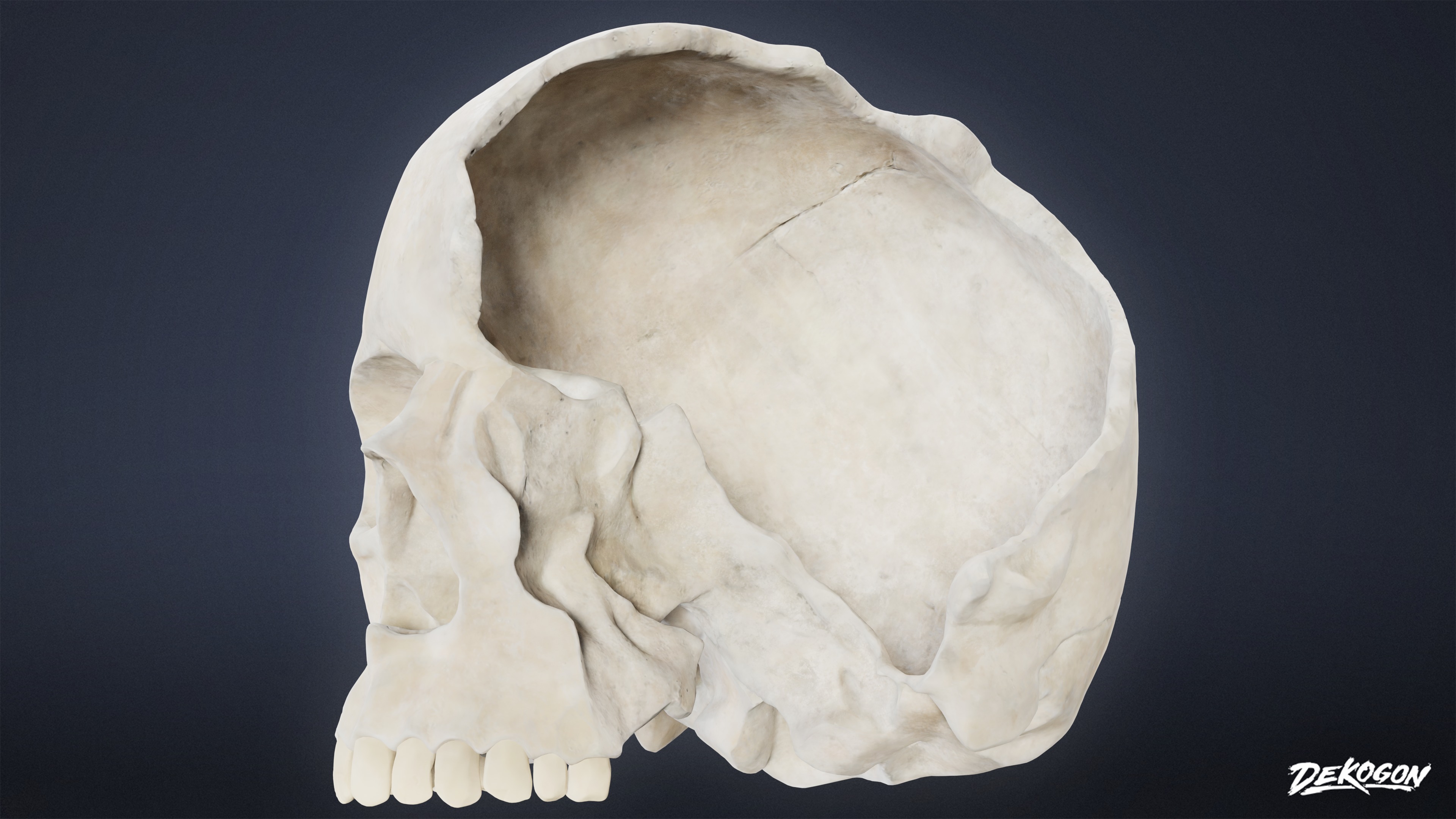 BONES - Human Skull 03 - NANITE Low-poly 3D model_6