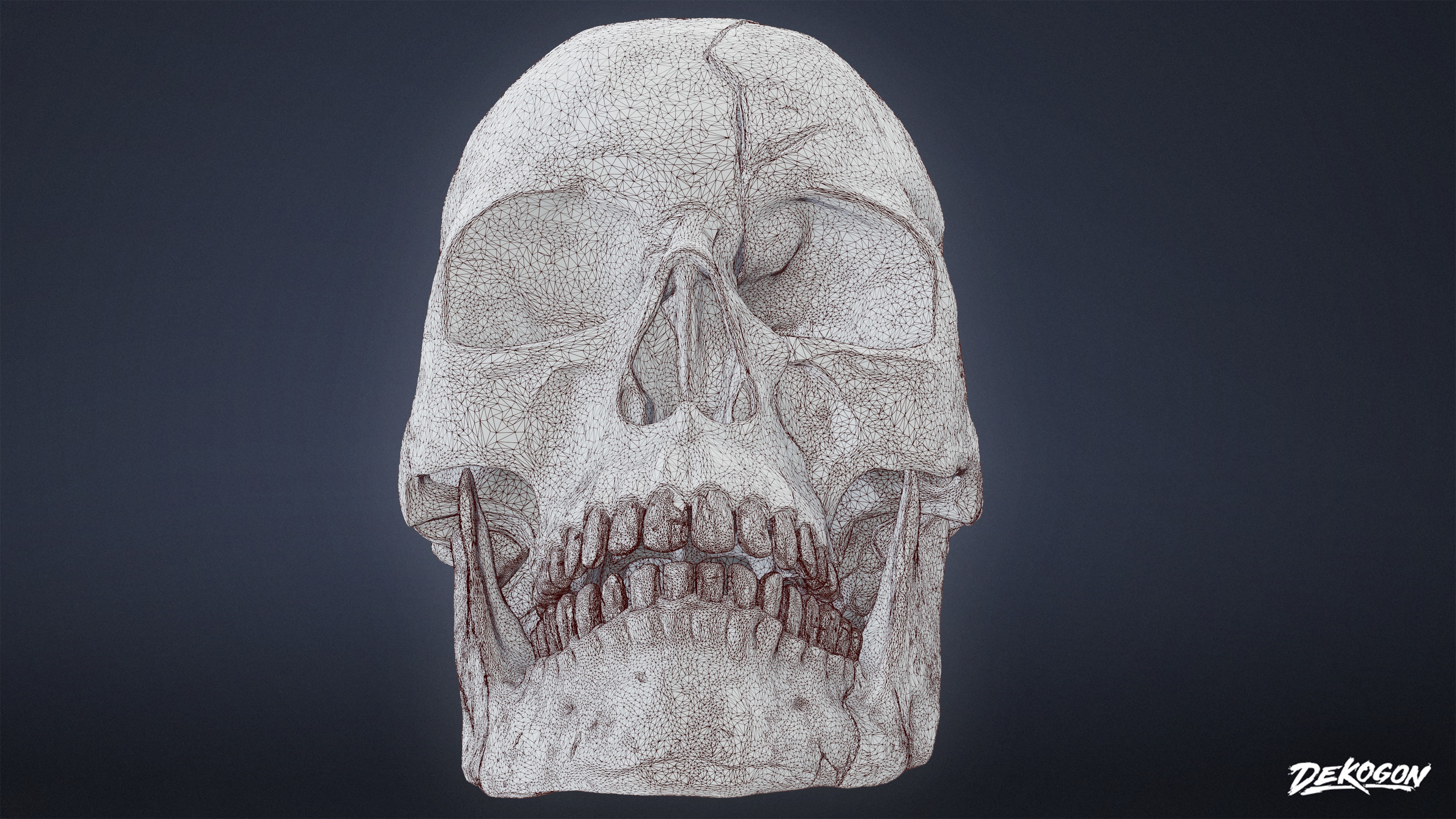 BONES - Human Skull 03 - NANITE Low-poly 3D model_8