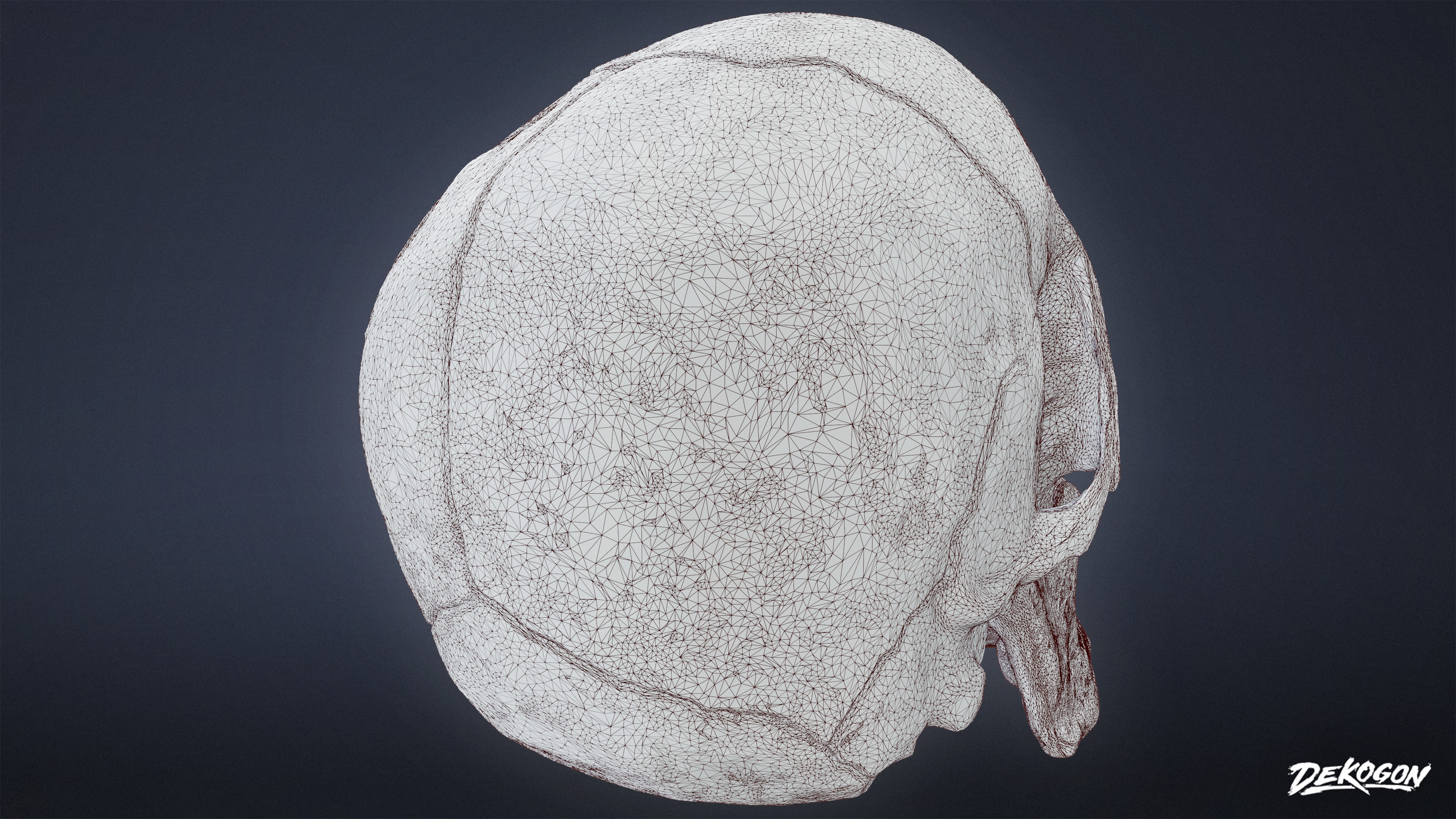 BONES - Human Skull 03 - NANITE Low-poly 3D model_9