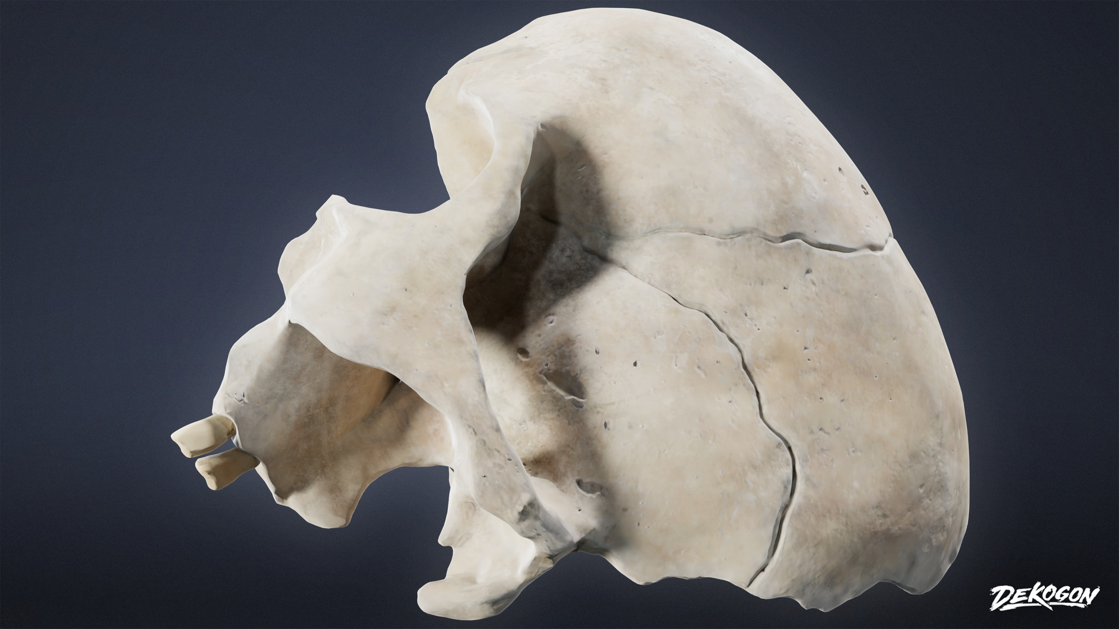 BONES - Human Skull 03 - NANITE Low-poly 3D model_5
