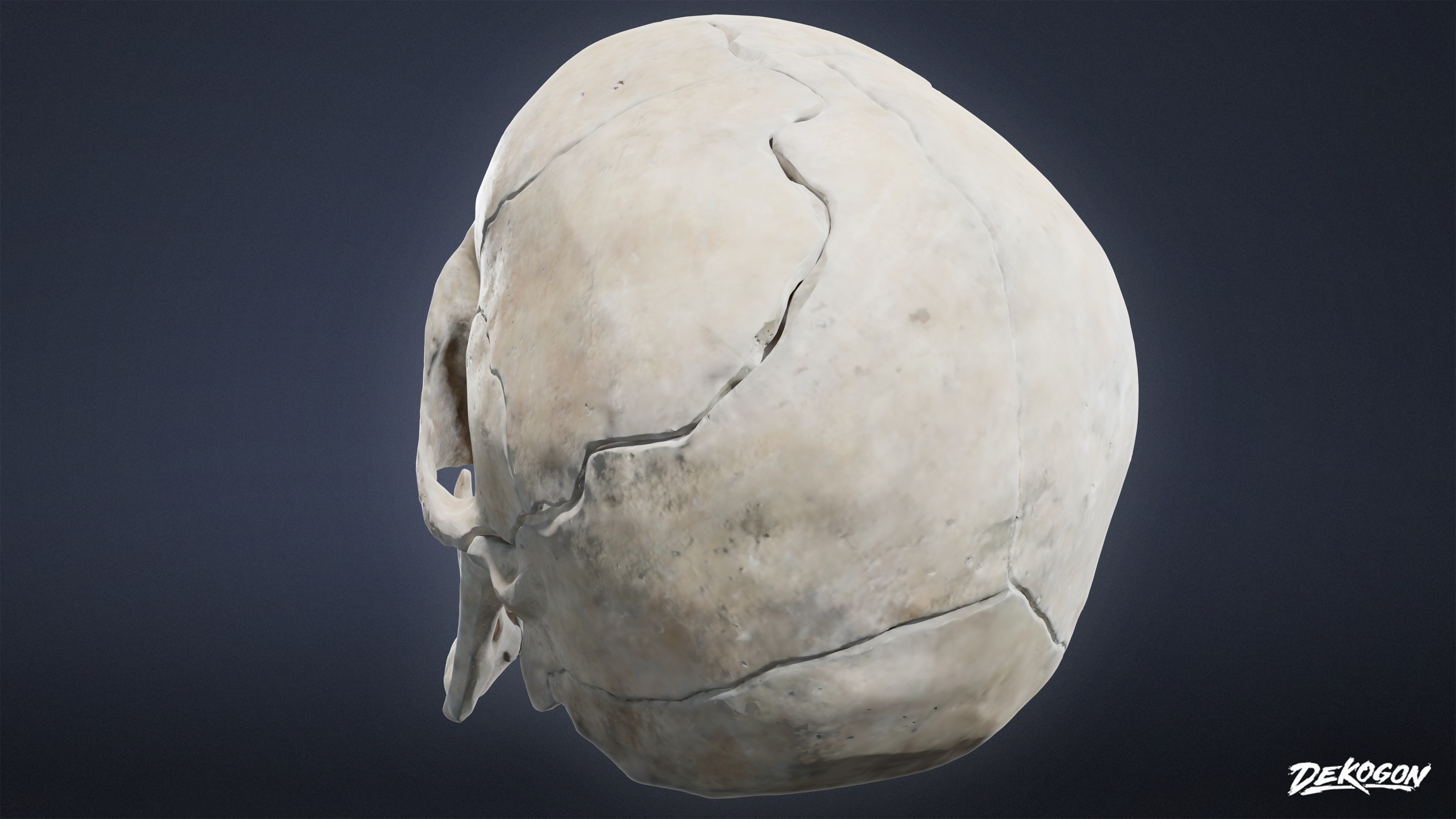 BONES - Human Skull 03 - NANITE Low-poly 3D model_3