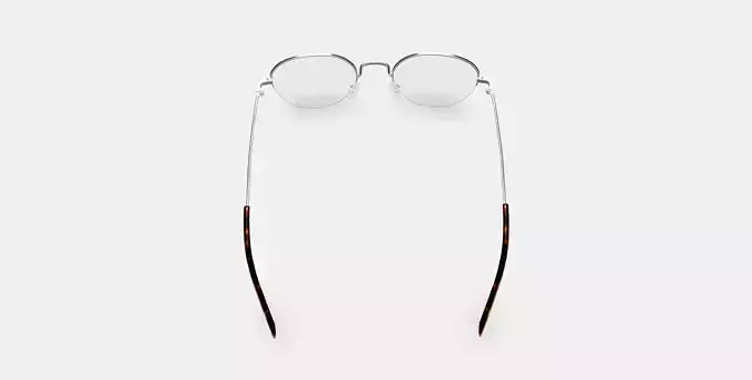 Canning Eyeglasses in Polished Silver 3D model
