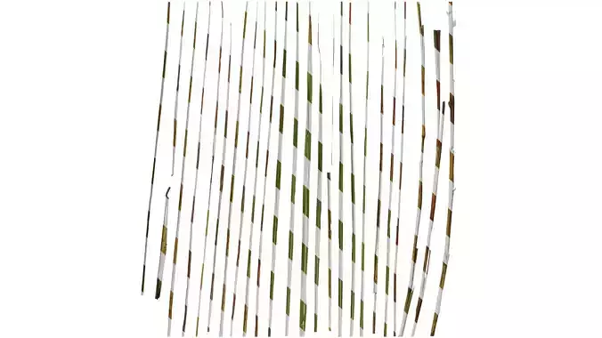 Anydrafts Miscanthus flavidus Leaf 01