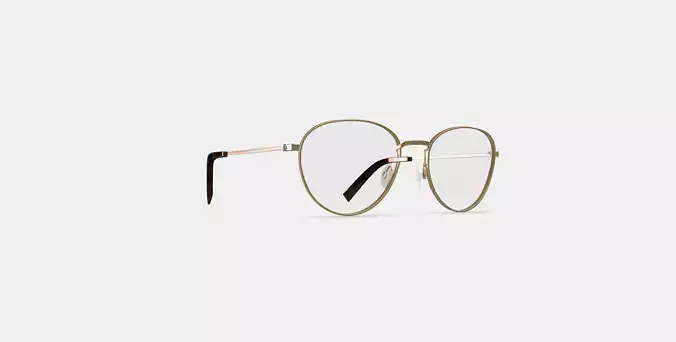 Hawkins Eyeglasses in Polished Gold