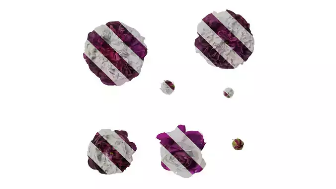 Anydrafts Rosa chinensis Flower 02