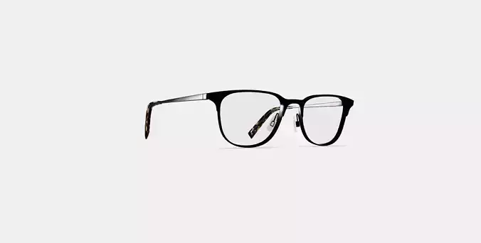 Campbell Eyeglasses in Carbon 3D model