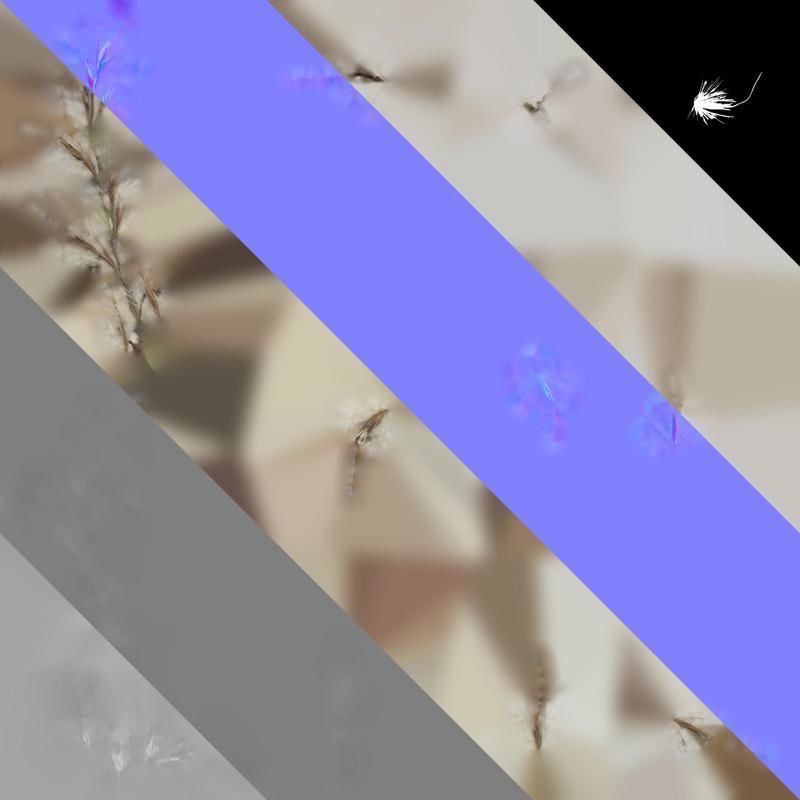 Anydrafts Miscanthus sacchariflorus Inflorescence 01 Texture_8