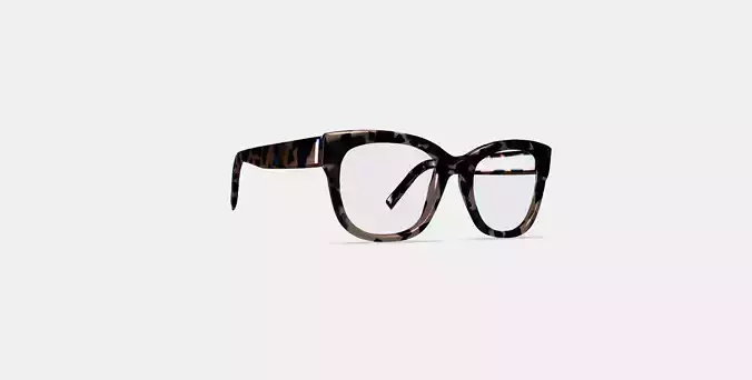 Tatum Eyeglasses in Smoky Pearl Tortoise 3D model