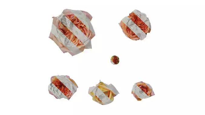 Anydrafts Rosa chinensis Flower 13