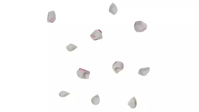 Anydrafts Rosa chinensis Flower 15