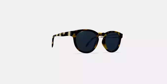 Hayes Sunglasses in Mesquite Tortoise 3D model Hayes Sunglasses in Mesquite Tortoise 3D model
