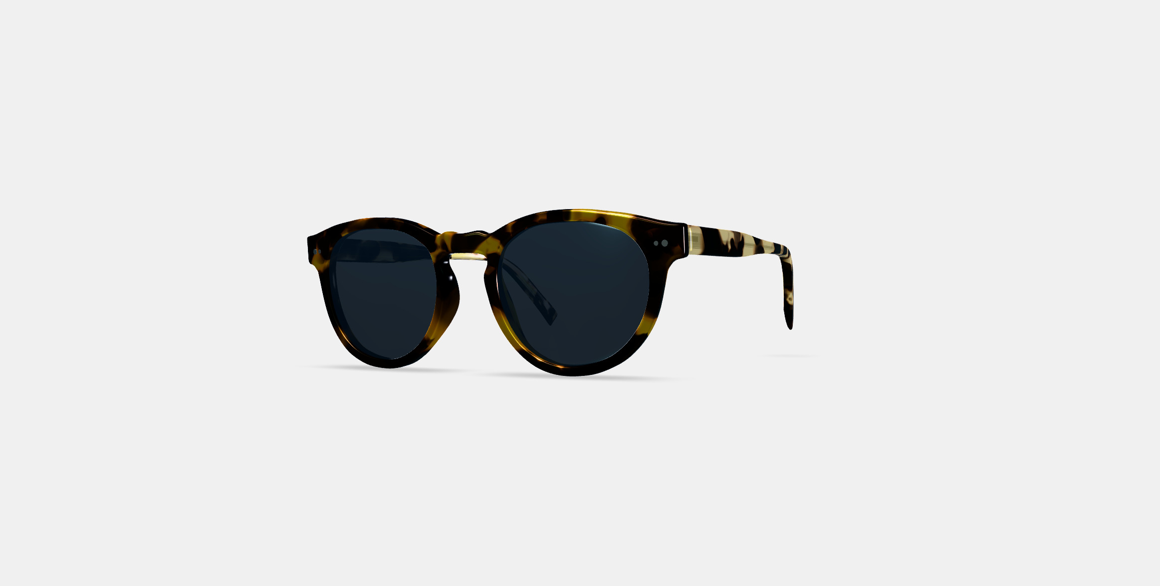 Hayes Sunglasses in Mesquite Tortoise 3D model_12