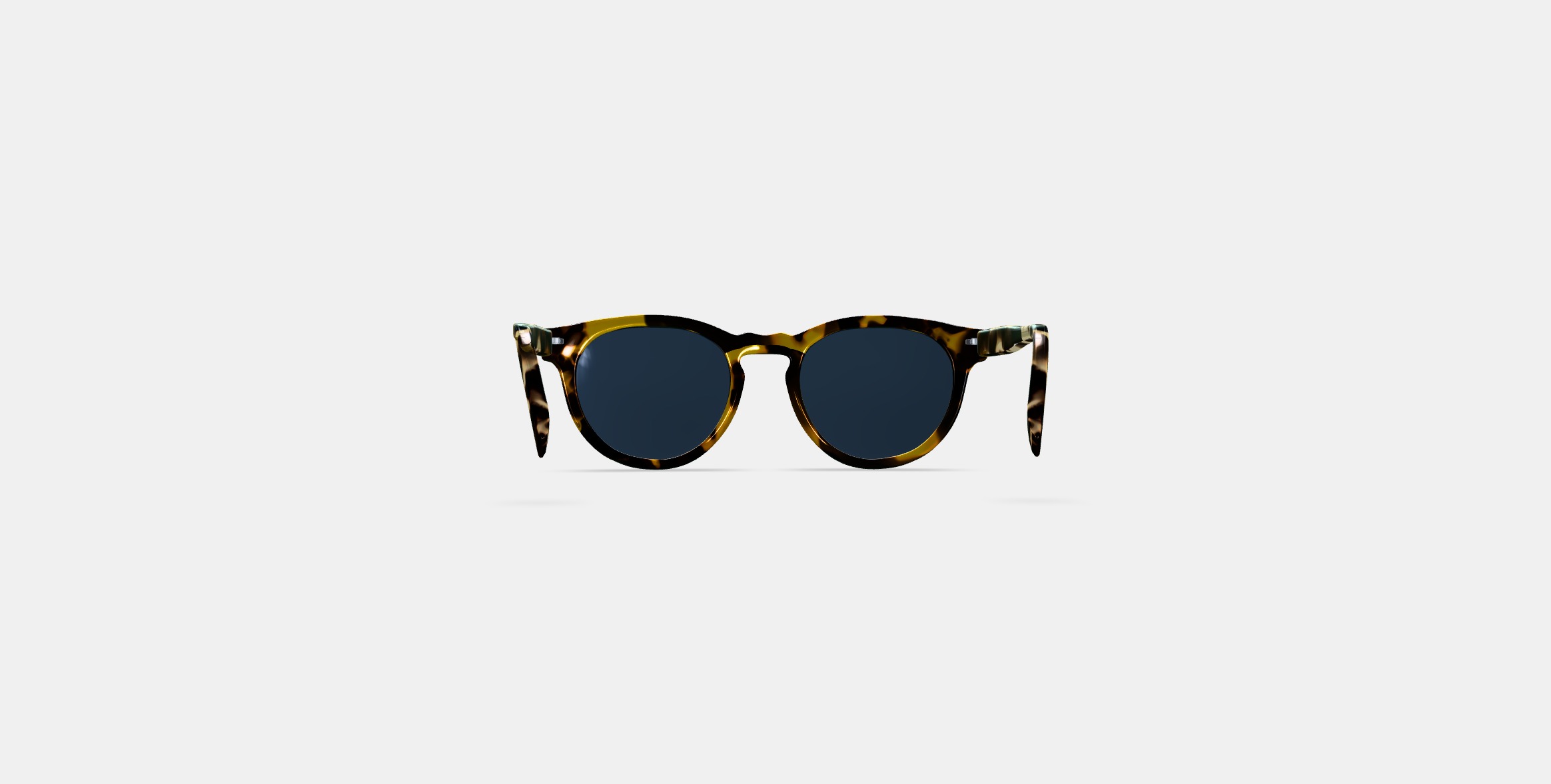 Hayes Sunglasses in Mesquite Tortoise 3D model_14