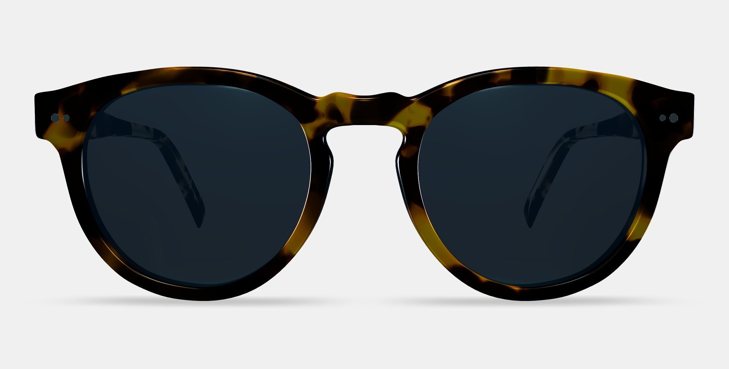 Hayes Sunglasses in Mesquite Tortoise 3D model_10