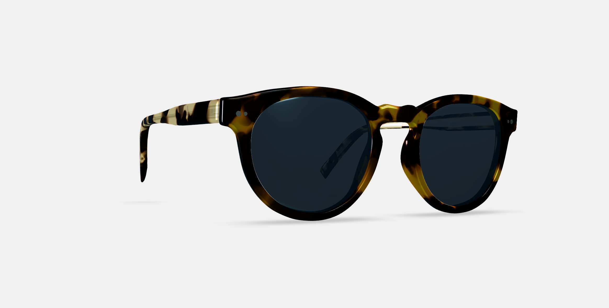 Hayes Sunglasses in Mesquite Tortoise 3D model_9