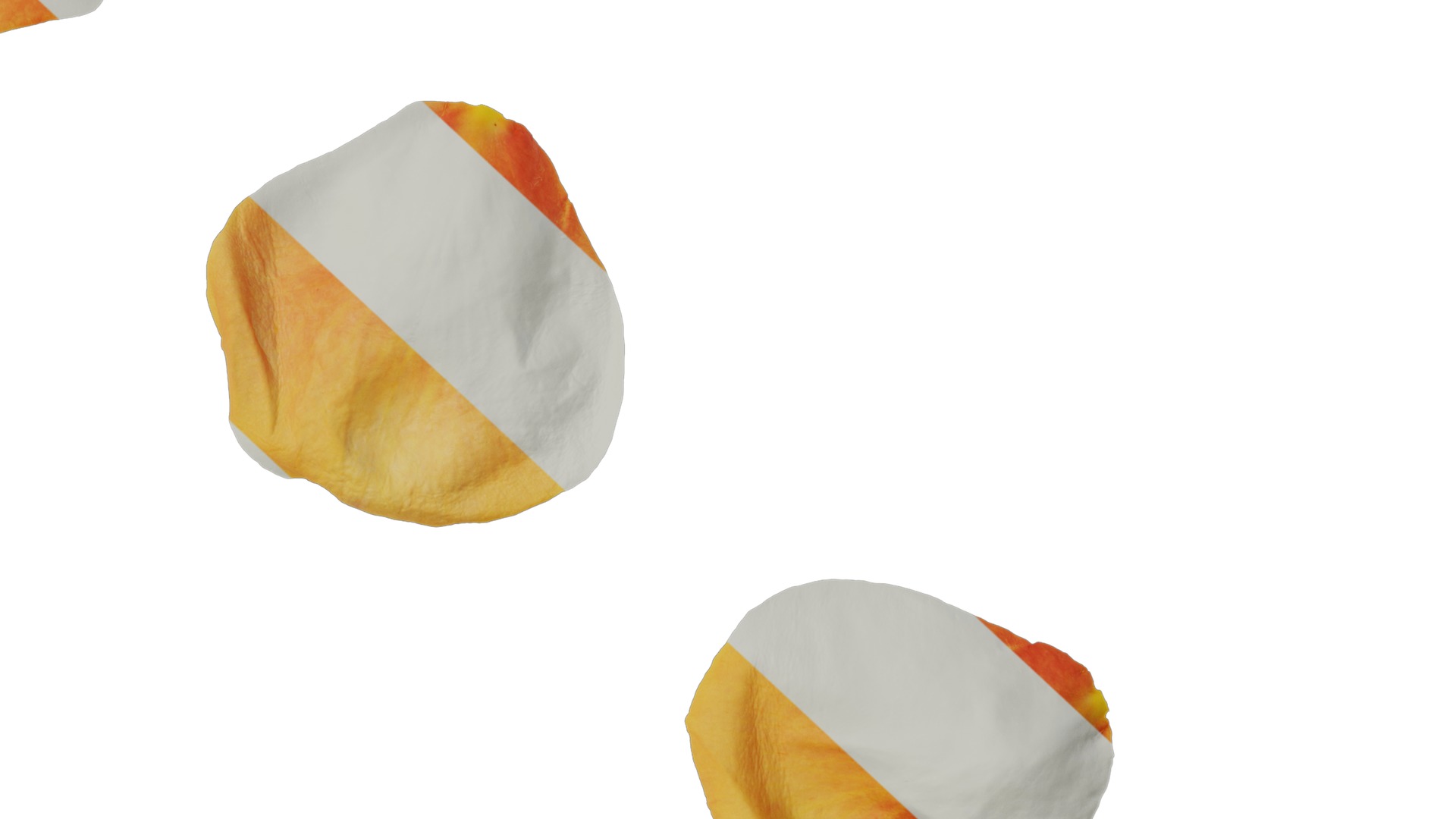 Anydrafts Rosa chinensis Flower 18 Texture_6