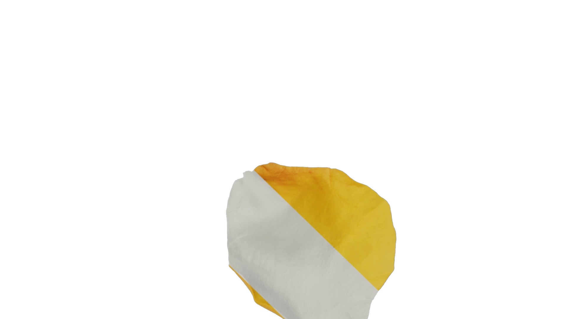 Anydrafts Rosa chinensis Flower 18 Texture_1