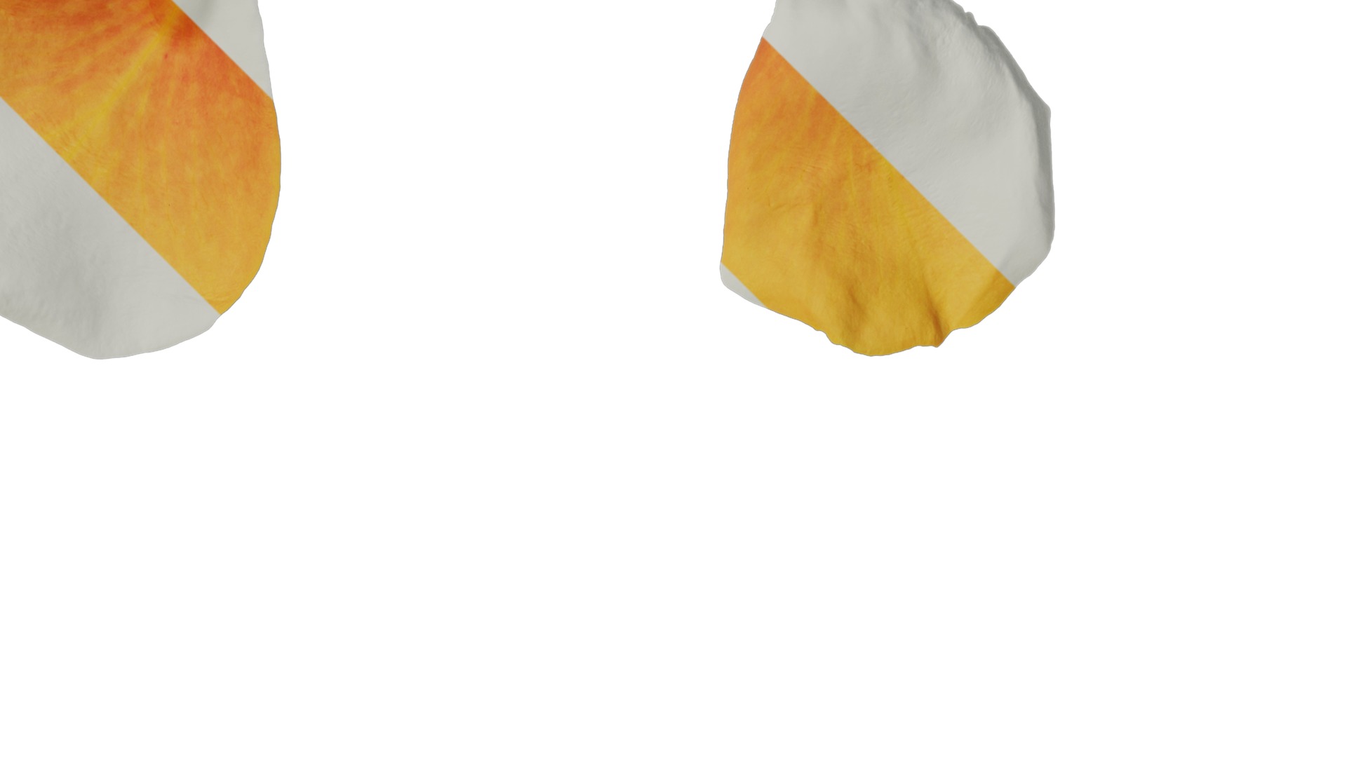 Anydrafts Rosa chinensis Flower 18 Texture_2