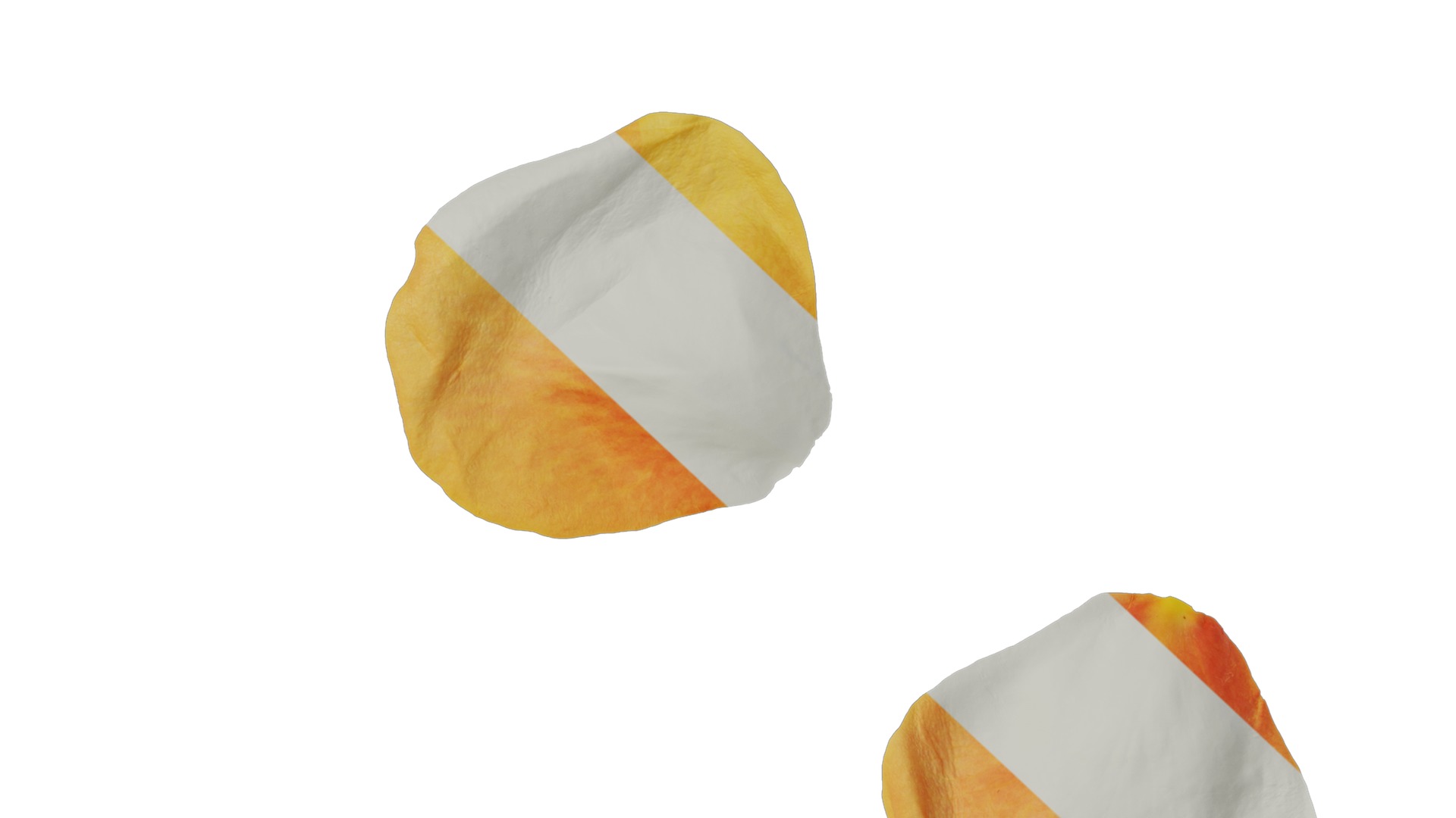 Anydrafts Rosa chinensis Flower 18 Texture_7