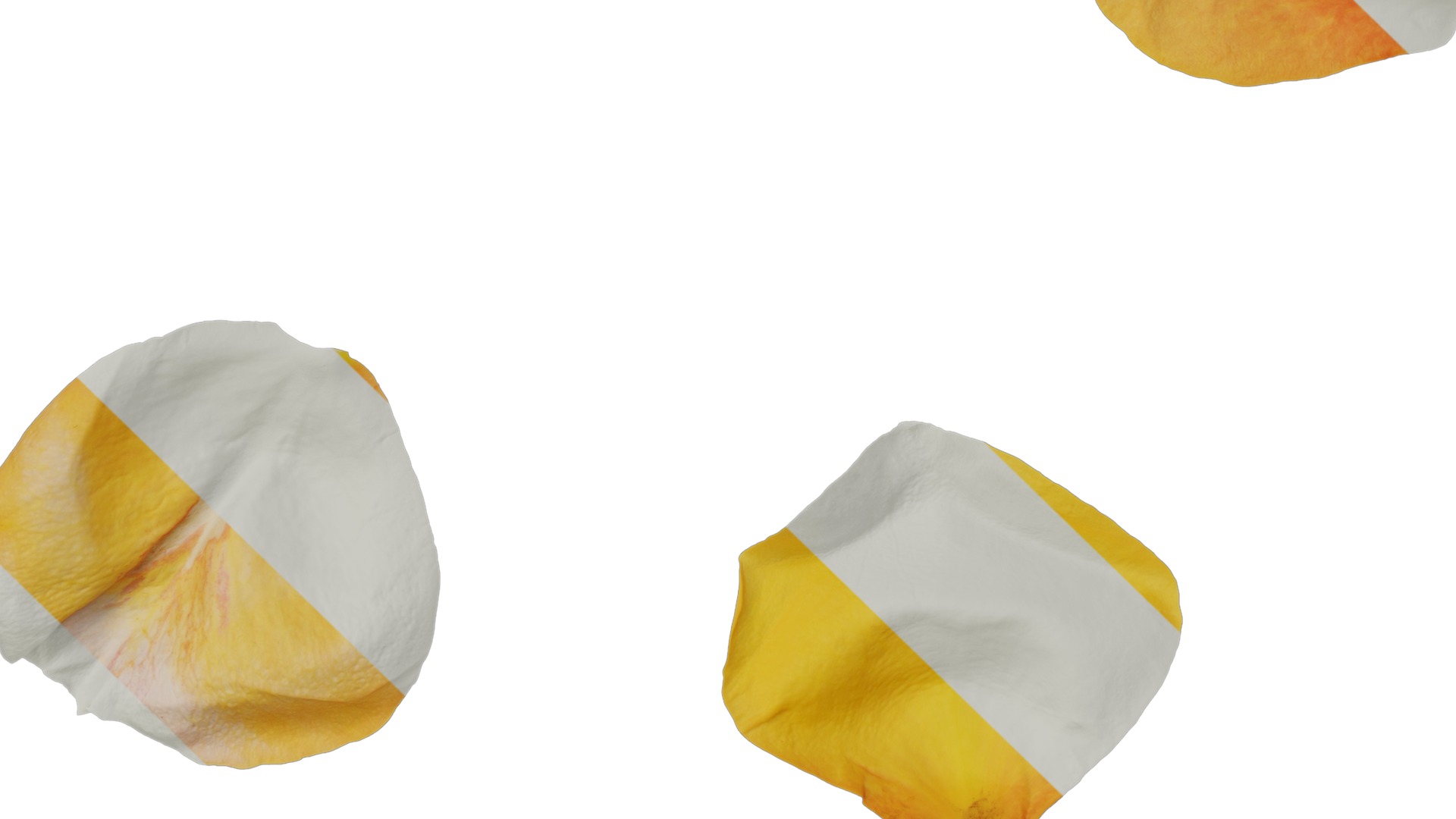 Anydrafts Rosa chinensis Flower 18 Texture_5